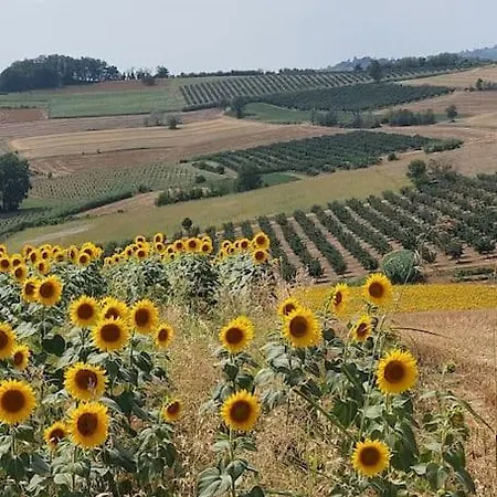 Villa Ca' - Panoramica Con Piscina - Vignale Monferrato San Lorenzo (Alessandria)