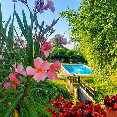 Ca' - Panoramica Con Piscina - Vignale Monferrato